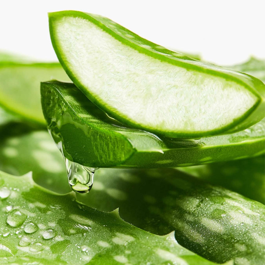 LE PETIT OLIVIER - Shampooing Micellaire Purifiant Aloe Vera et Thé Vert - 250ml