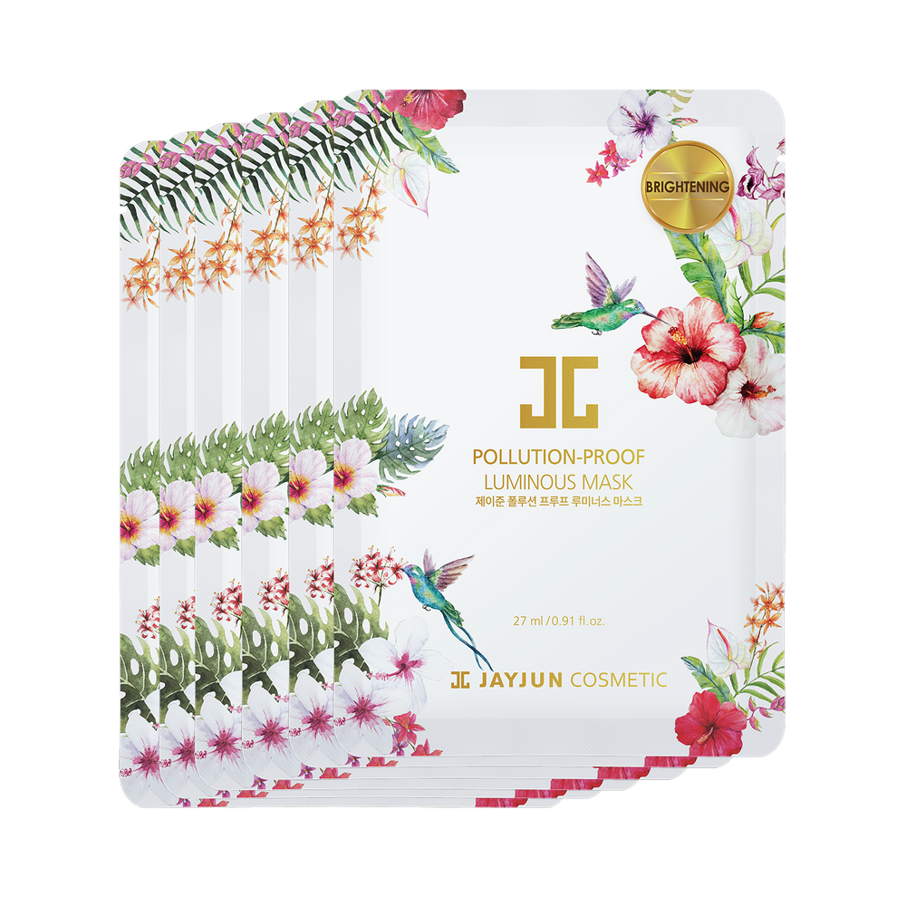 jayjun-pack-pollution-proof-mask-10pcs