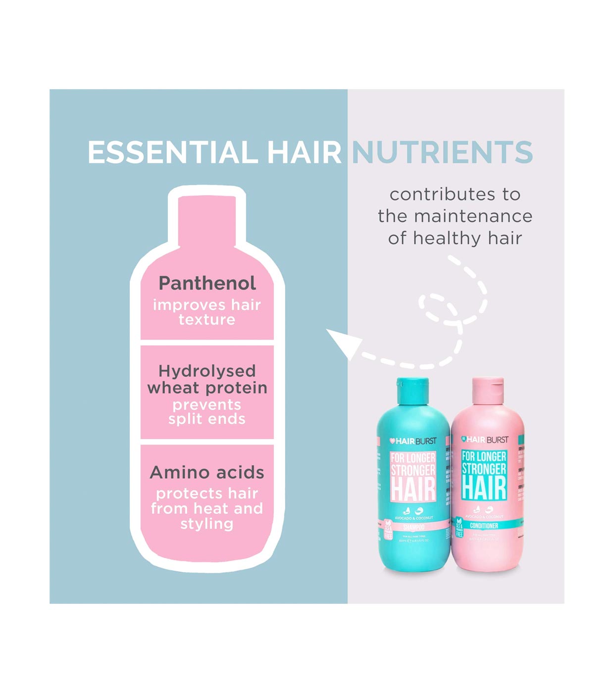 HAIRBURST - Conditioner à l'avocat et Noix de Coco - 350ml